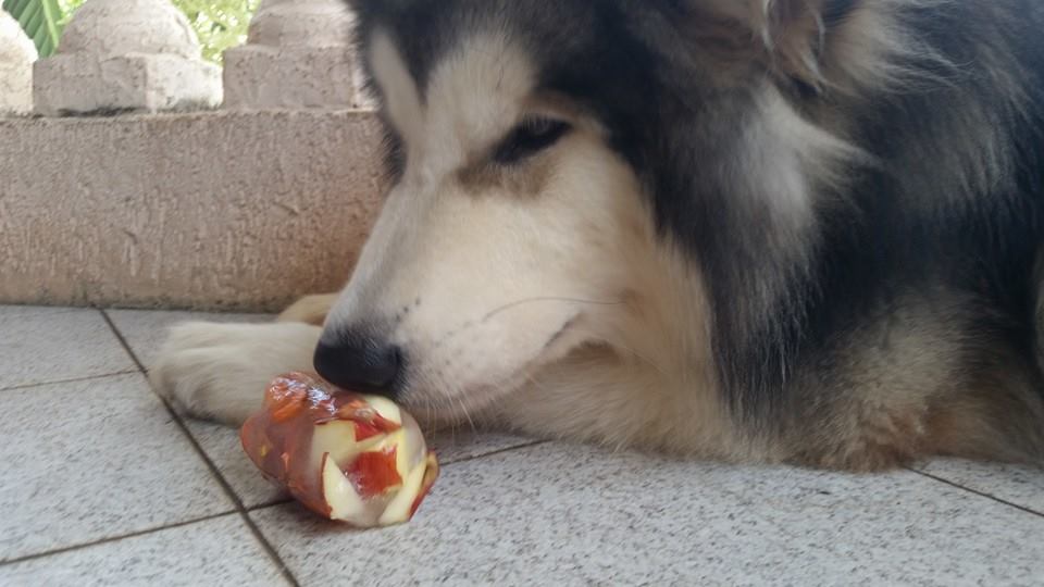 Picolé de Frutas