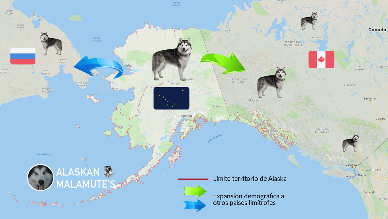 Distribución demográfica del Alaskan Malamute desde Alaska