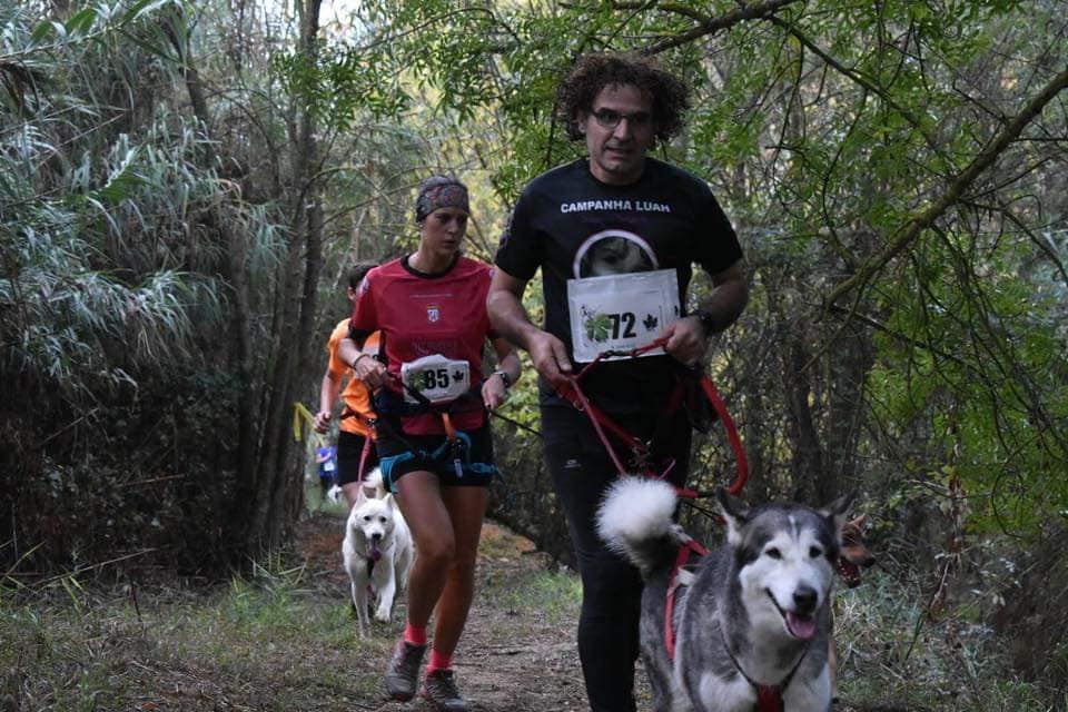 Competición de Canicross