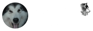 Alaskan Malamute D'Alejos Dog Family