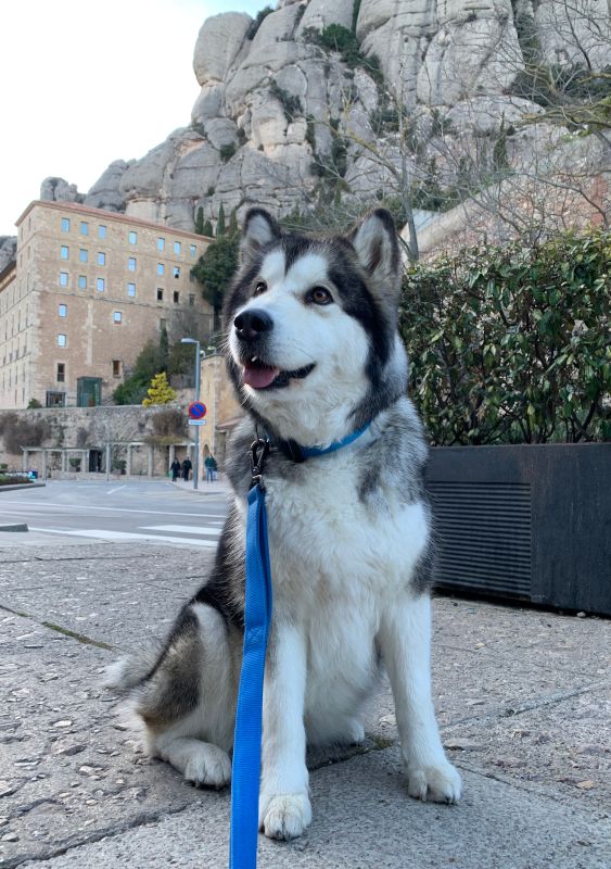 Aura en Monserrat